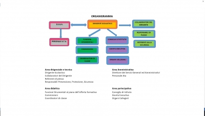 Organigramma