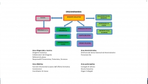 Organigramma