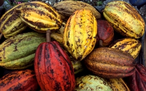 Così dolce, così amaro